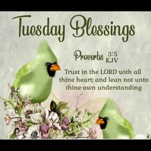 Meet your Posher, Marlissa